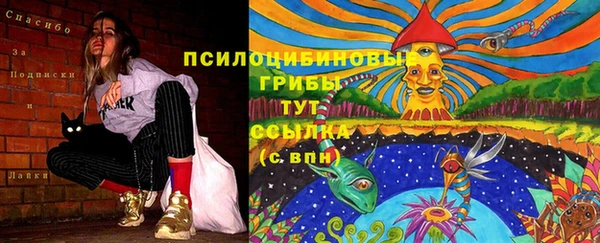 спайс Алексеевка