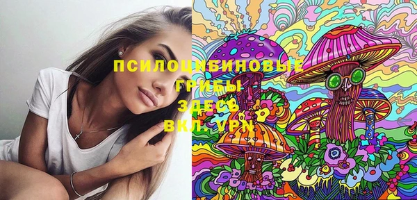 спайс Алексеевка