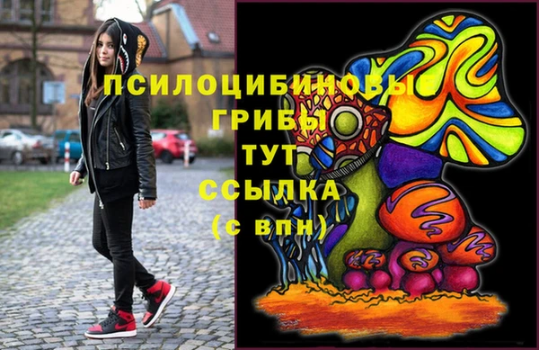 стаф Алексин