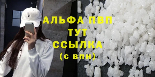 стаф Алексин