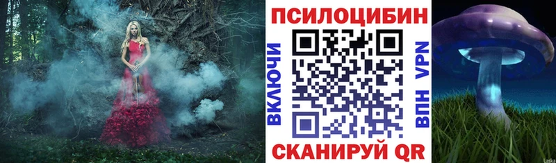 Псилоцибиновые грибы GOLDEN TEACHER  Арск 
